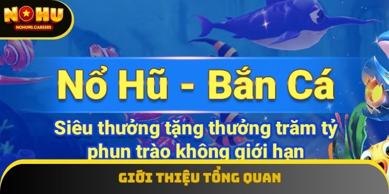 Giới thiệu tổng quan