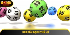 Soi Cầu Bạch Thủ Lô - Bí Quyết Dự Đoán Chính Xác Từng Con Số